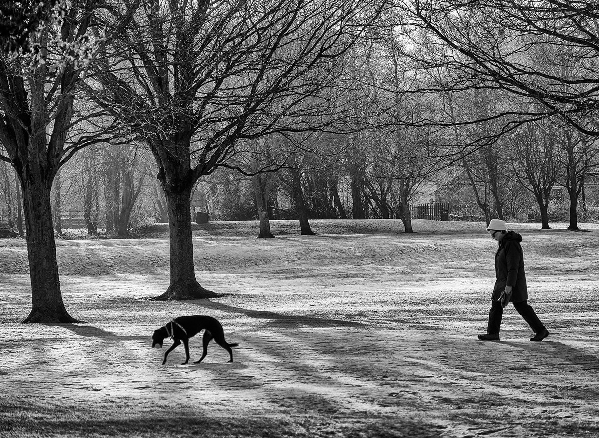Early Morning Walk